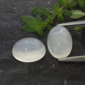 Achetez naturel 3,16ct blanc pierre de lune gems, coupe ovale, en provenance inde chez gemselect. en stock, livraison internationale!