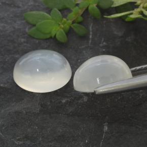 Achetez naturel 3,16ct blanc pierre de lune gems, coupe ovale, en provenance inde chez gemselect. en stock, livraison internationale!