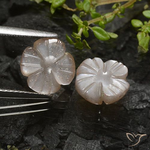 3.96ctw Naturel Marron clair chaud Pierre de lune, Taille Fleur, Translucide