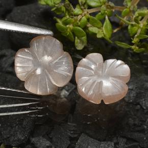 Achetez naturel 3.29ct Marron très clair Pierre de Lune gems, Taille Fleur, En provenance Inde chez GemSelect. En stock, livraison internationale!