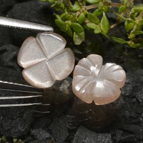 Achetez naturel 3.29ct Marron très clair Pierre de Lune gems, Taille Fleur, En provenance Inde chez GemSelect. En stock, livraison internationale!