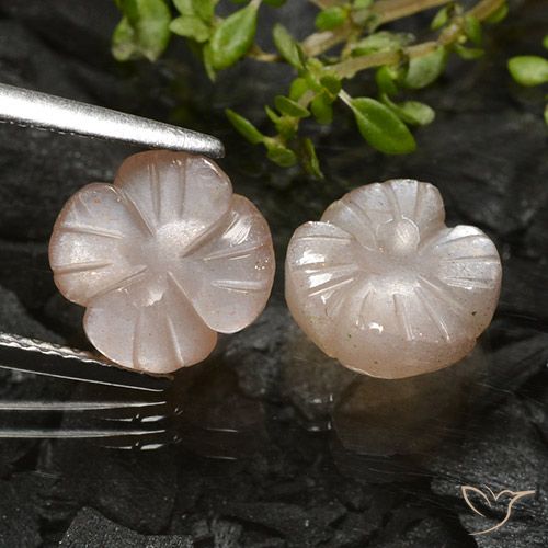 5.09ctw Naturel Brun caramel léger Pierre de lune, Taille Fleur, Translucide