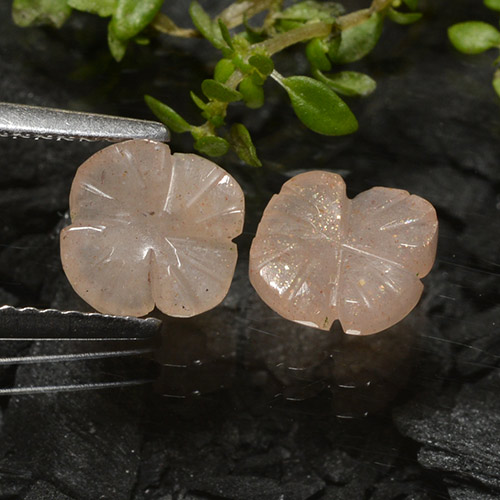 Achetez naturel 2,08ct marron pierre de lune gems, taille fleur, en provenance inde chez gemselect. en stock, livraison internationale!