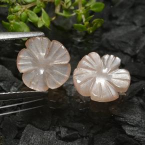 Achetez naturel 3,50ct marron pierre de lune gems, taille fleur, en provenance inde chez gemselect. en stock, livraison internationale!