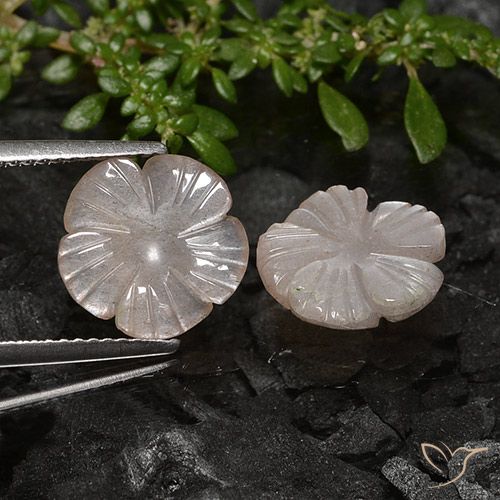 4.91ctw Naturel Brun arachide léger Pierre de lune, Taille Fleur, Translucide