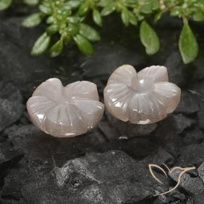 Shop natural 5.49ct Marron très clair Pierre de lune gems, Taille Fleur, from Inde at GemSelect. In stock, global shipping!