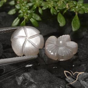 Shop natural 5.49ct Marron très clair Pierre de lune gems, Taille Fleur, from Inde at GemSelect. In stock, global shipping!
