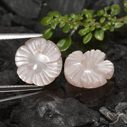 7.56ctw Naturel Marron très clair Pierre de lune, Taille Fleur, Translucide