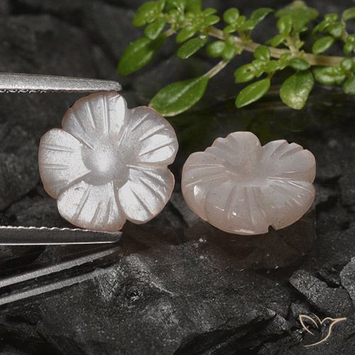 4.83ctw Naturel Brun caramel léger Pierre de lune, Taille Fleur, Translucide