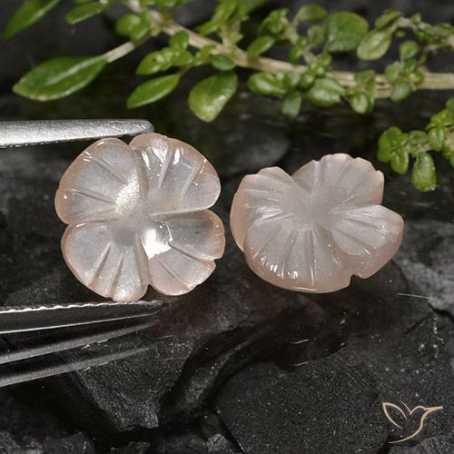 4.26ctw Naturel Marron très clair Pierre de lune, Taille Fleur, Translucide