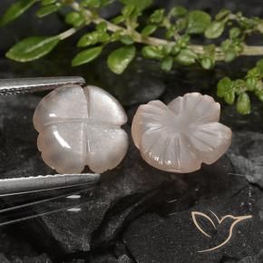 Shop natural 4.26ct Marron très clair Pierre de lune gems, Taille Fleur, from Inde at GemSelect. In stock, global shipping!