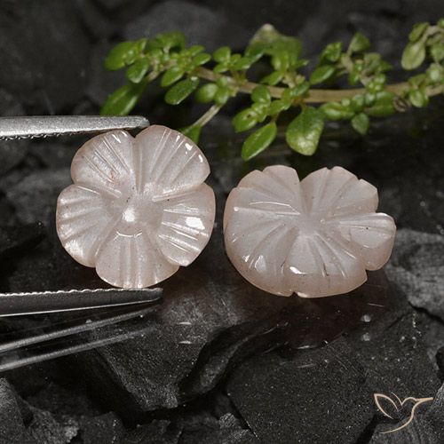 6.44ctw Naturel Brun pâle Pierre de lune, Taille Fleur, Translucide