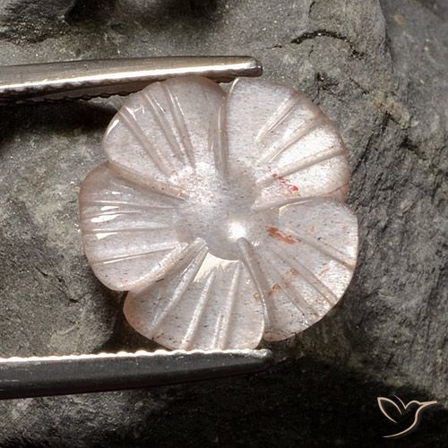 4.07ct Naturel Brun neutre Pierre de lune, Taille Fleur, Translucide