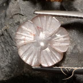 Pierre de lune Brun neutre naturelle Taille Fleur, 4.07 ct, Translucide