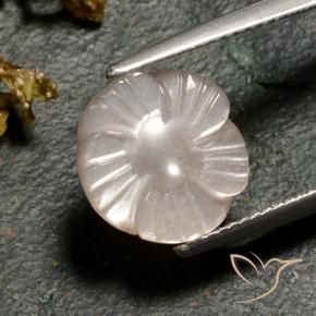 Pierre de lune Brun caramel léger naturelle Taille Fleur, 4.02 ct, Translucide