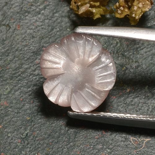 3.00ct Naturel Brun caramel léger Pierre de lune, Taille Fleur, Translucide