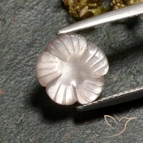Pierre de lune Brun caramel léger naturelle Taille Fleur, 3.00 ct, Translucide