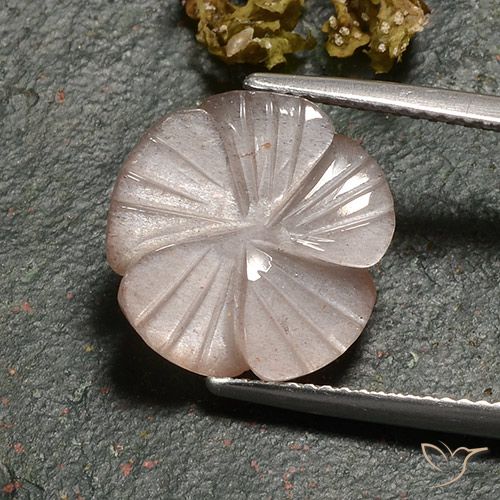 6.77ct Naturel Brun caramel léger Pierre de lune, Taille Fleur, Translucide
