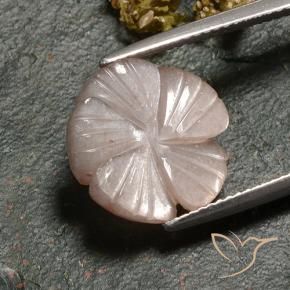 Pierre de lune Brun caramel léger naturelle Taille Fleur, 6.77 ct, Translucide