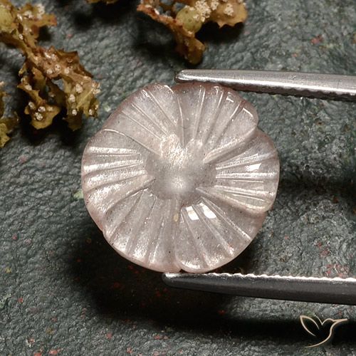 4.86ct Naturel Marron très clair Pierre de lune, Taille Fleur, Translucide