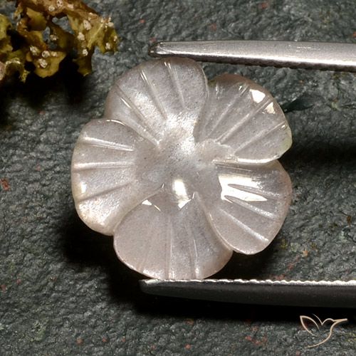 3.77ct Naturel Brun caramel léger Pierre de lune, Taille Fleur, Translucide