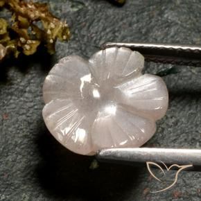 Pierre de lune Brun caramel léger naturelle Taille Fleur, 3.77 ct, Translucide