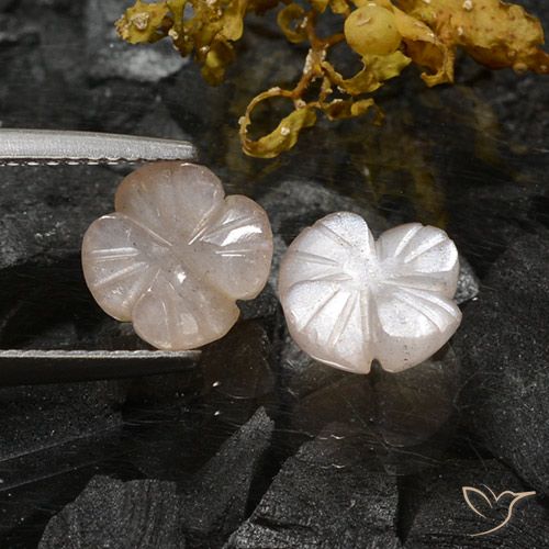 3.06ctw Naturel Marron très clair Pierre de lune, Taille Fleur, Translucide