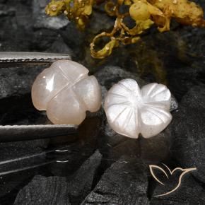 Shop natural 3.06ct Marron très clair Pierre de lune gems, Taille Fleur, from Inde at GemSelect. In stock, global shipping!