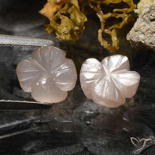 2.36ctw Naturel Marron très clair Pierre de lune, Taille Fleur, Translucide