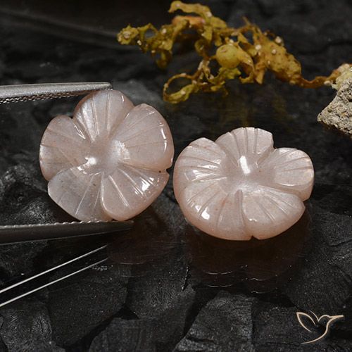 10.47ctw Naturel Marron très clair Pierre de lune, Taille Fleur, Translucide