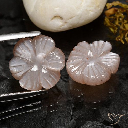 7.98ctw Naturel Brun fauve léger Pierre de lune, Taille Fleur, Translucide