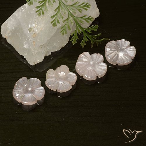 5.66ctw Naturel Rose très clair Pierre de lune, Taille Fleur, Translucide