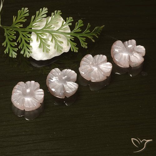 8.18ctw Naturel Rose très clair Pierre de lune, Taille Fleur, Translucide