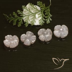 Shop natural 5.72ct Rose très clair Pierre de lune gems, Taille Fleur, from Inde at GemSelect. In stock, global shipping!