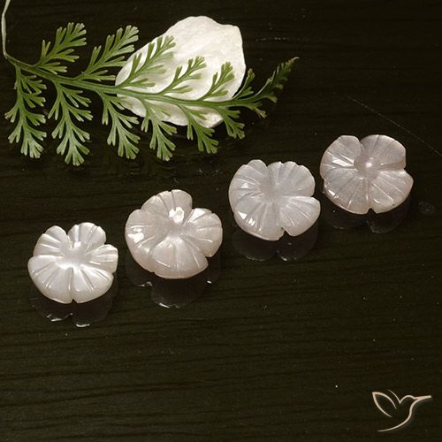8.18ctw Naturel Rose très clair Pierre de lune, Taille Fleur, Translucide