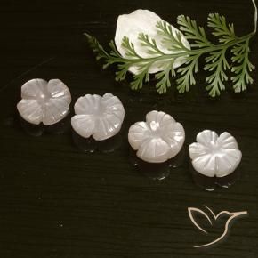 Shop natural 8.18ct Rose très clair Pierre de lune gems, Taille Fleur, from Inde at GemSelect. In stock, global shipping!