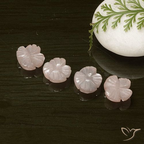 7.22ctw Naturel Rose très clair Pierre de lune, Taille Fleur, Translucide