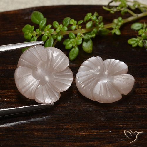 10.66ctw Naturel Brun caramel léger Pierre de lune, Taille Fleur, Translucide