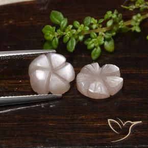 Shop natural 5.53ct Brun caramel léger Pierre de lune gems, Taille Fleur, from Inde at GemSelect. In stock, global shipping!