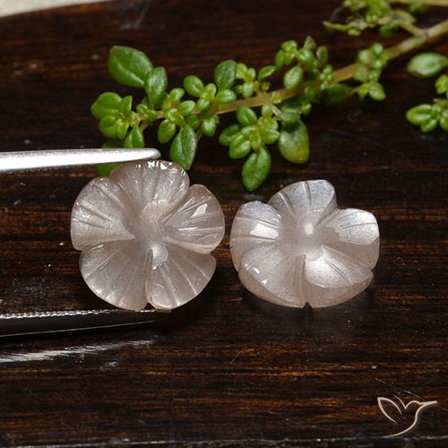 7.33ctw Naturel Marron très clair Pierre de lune, Taille Fleur, Translucide