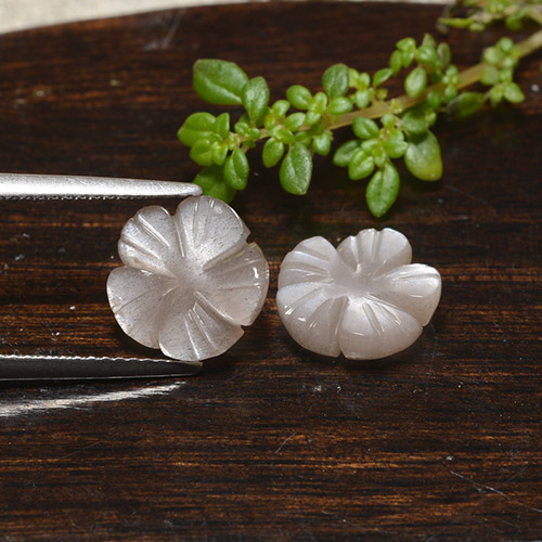 Achetez naturel 5,11ct marron pierre de lune gems, taille fleur, en provenance inde chez gemselect. en stock, livraison internationale!