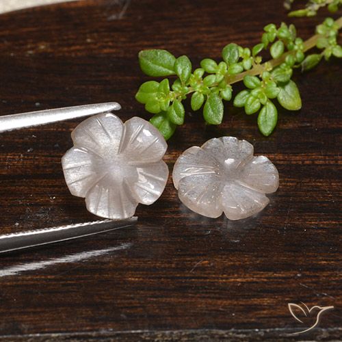 3.90ctw Naturel Marron très clair Pierre de lune, Taille Fleur, Translucide