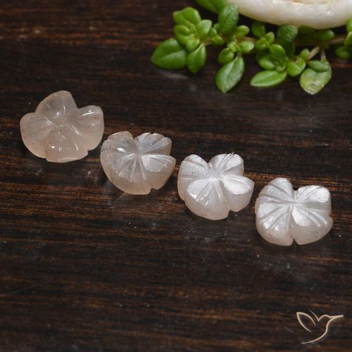 4.06ctw Naturel Marron très clair Pierre de lune, Taille Fleur, Translucide