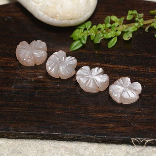 5.65ctw Naturel Brun caramel léger Pierre de lune, Taille Fleur, Translucide
