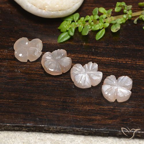 4.30ctw Naturel Brun caramel léger Pierre de lune, Taille Fleur, Translucide