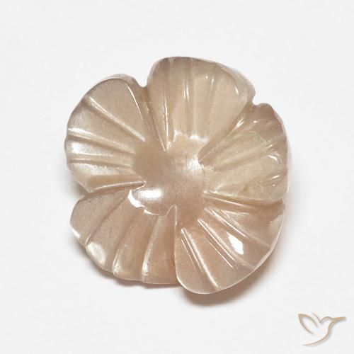 4.14ct Naturel Marron très clair Pierre de lune, Taille Fleur, Translucide