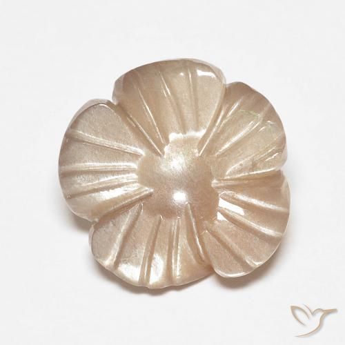 Pierre de lune Marron très clair naturelle Taille Fleur, 4.14 ct, Translucide