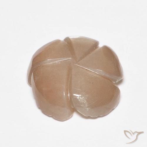Pierre de lune Marron très clair naturelle Taille Fleur, 4.14 ct, Translucide