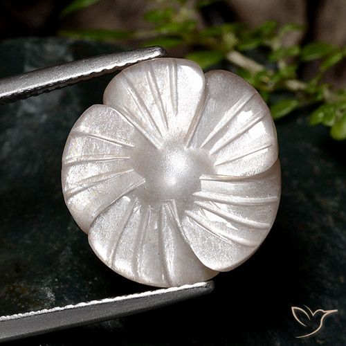 9.33ct Naturel Brun pâle Pierre de lune, Taille Fleur, Translucide