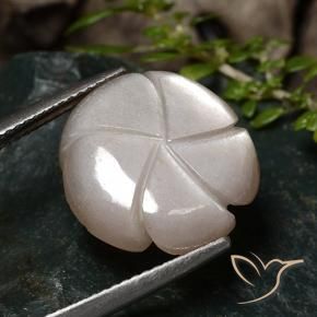 Pierre de lune Brun pâle naturelle Taille Fleur, 9.33 ct, Translucide